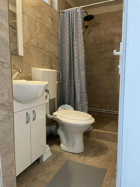 Guest house Complex Minerva 2*