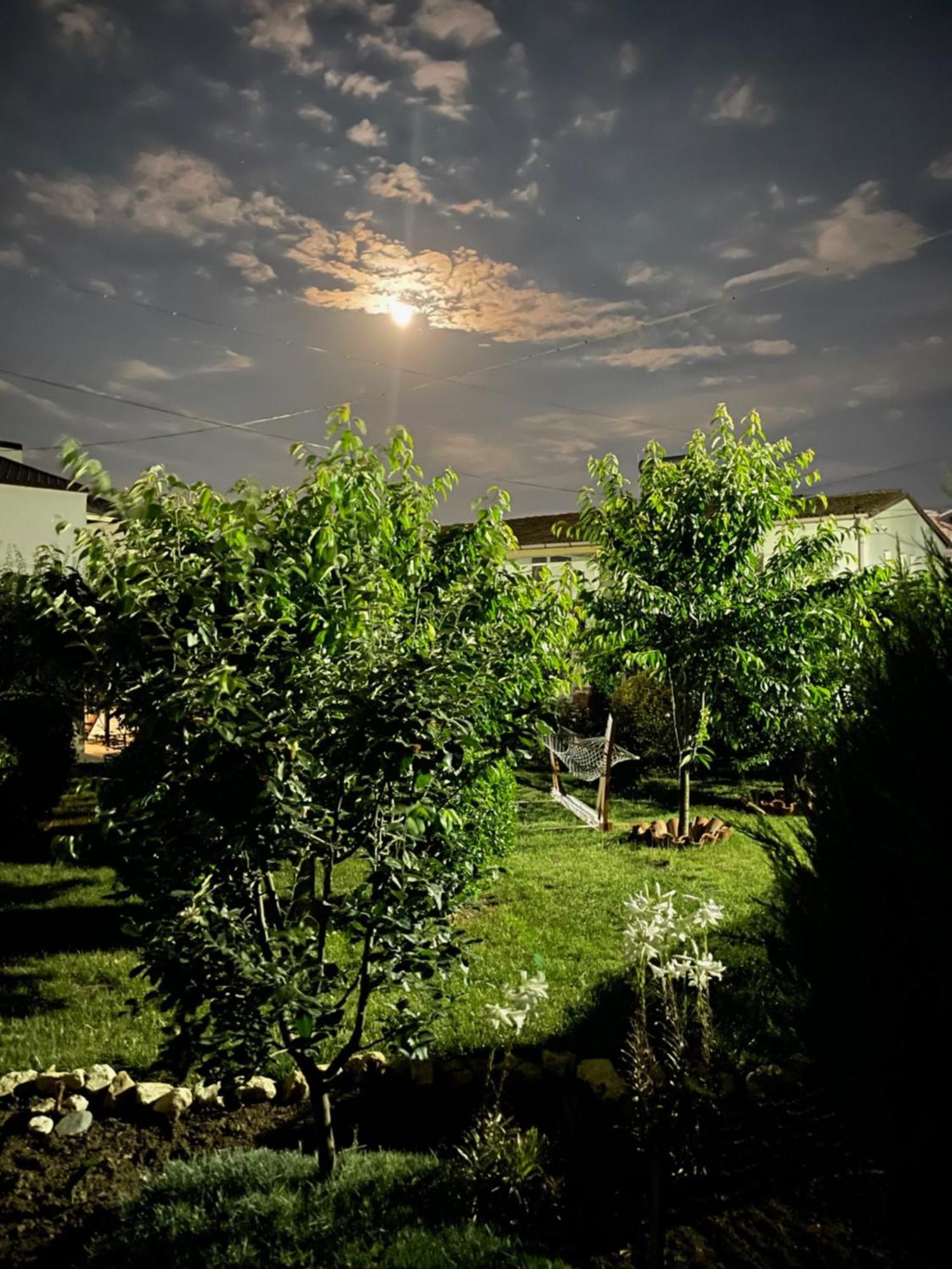 Guest house Complex Minerva Costinesti